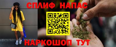 прущие грибы Краснодар