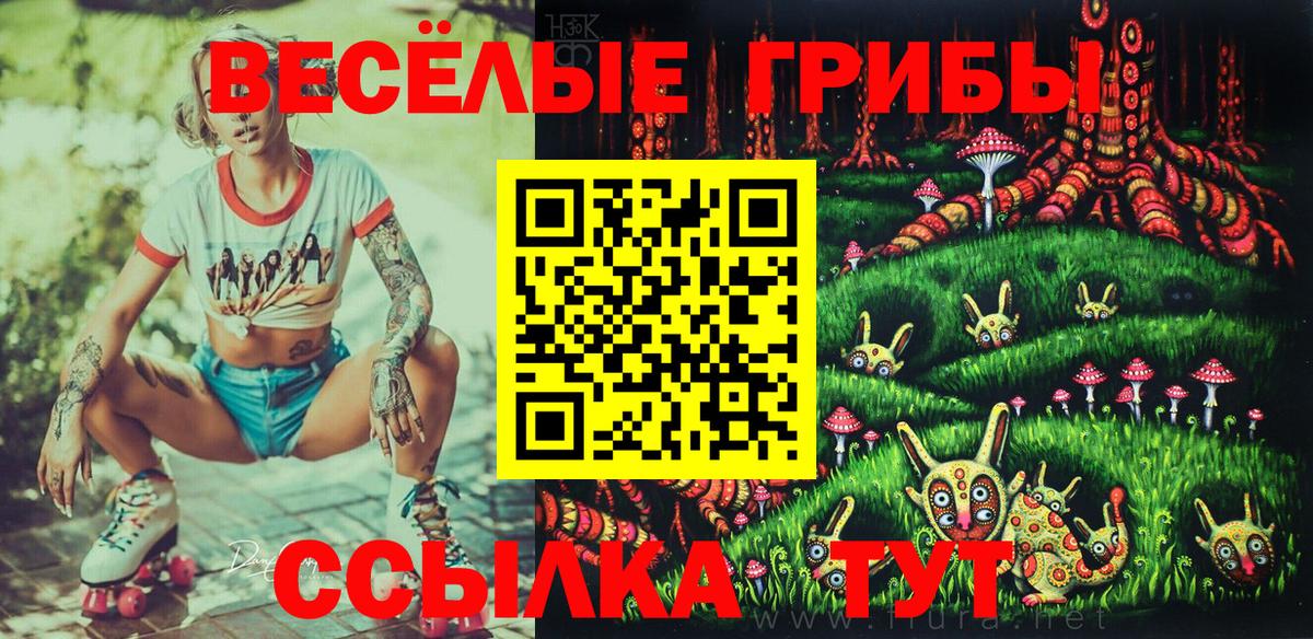 Псилоцибиновые грибы Psilocybine cubensis Заринск